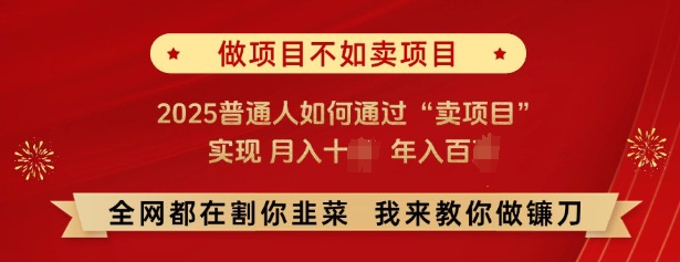 必看，做项目不如卖项目，2025普通人如何通过“卖项目”实现月入十个，年入百个 - 创享网-创享网
