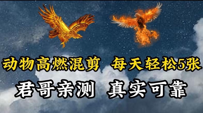 动物超燃混剪，每天轻松5张，剪辑简单大家爱看【揭秘】 - 创享网-创享网