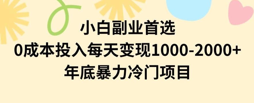 小白副业首选，0成本投入，每天变现1000-2000年底暴力冷门项目【揭秘】 - 创享网-创享网