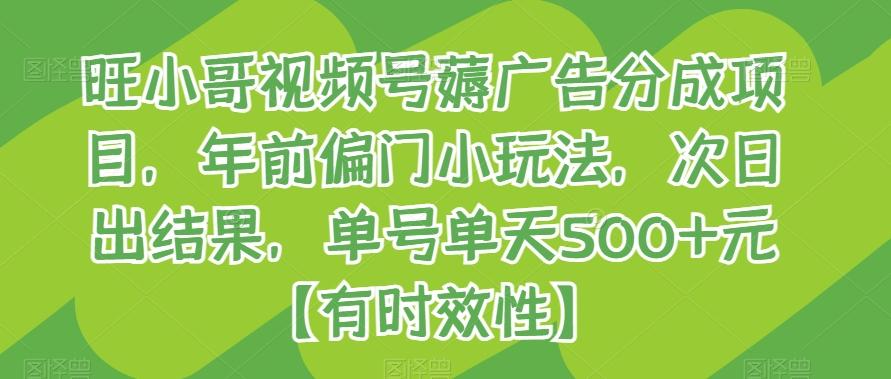 旺小哥视频号薅广告分成项目，年前偏门小玩法，次日出结果，单号单天500+元【有时效性】 - 创享网-创享网