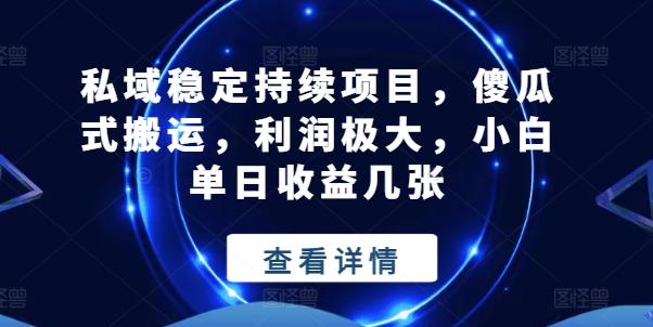 私域稳定持续项目，傻瓜式搬运，利润极大，小白单日收益几张【揭秘】 - 创享网-创享网