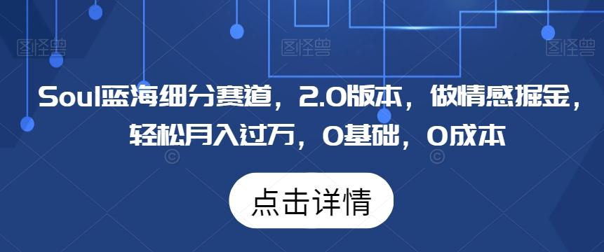 Soul蓝海细分赛道，2.0版本，做情感掘金，轻松月入过万，0基础，0成本 - 创享网-创享网