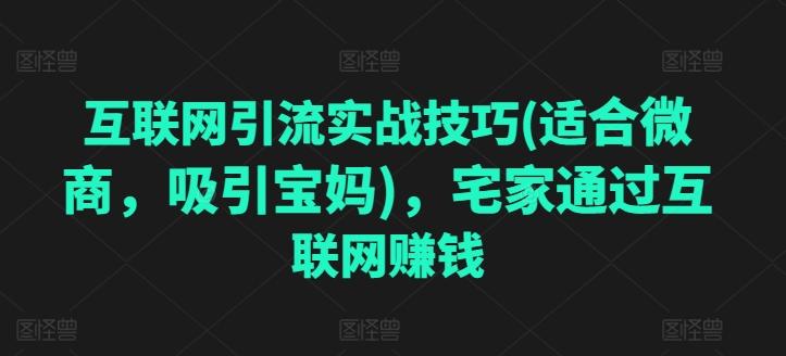 互联网引流实战技巧(适合微商，吸引宝妈)，宅家通过互联网赚钱 - 创享网-创享网