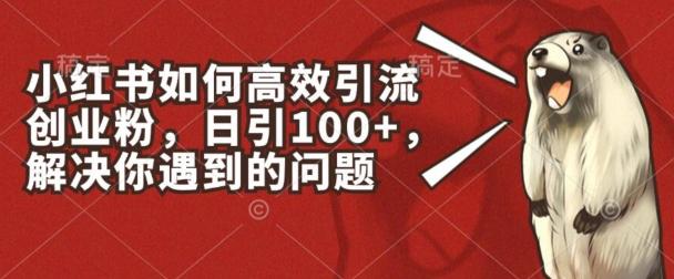 小红书如何高效引流创业粉，日引100+，解决你遇到的问题【揭秘】 - 创享网-创享网