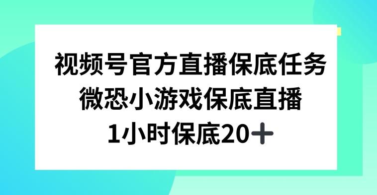 视频号直播任务，微恐小游戏，1小时20+【揭秘】 - 创享网-创享网