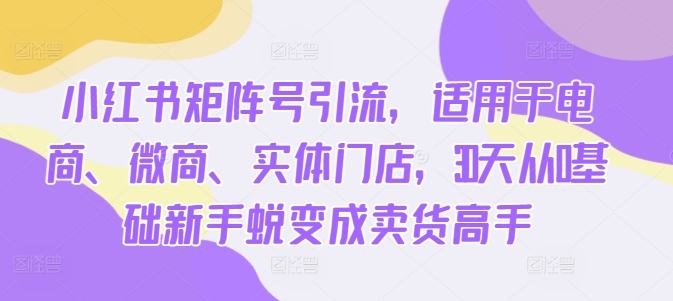 小红书矩阵号引流，适用于电商、微商、实体门店，30天从0基础新手蜕变成卖货高手 - 创享网-创享网