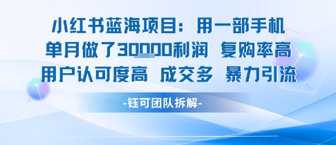 小红书蓝海项目，一部手机单月做了3W利润，小白也能月入过1W用户认可度高成交多 - 创享网-创享网