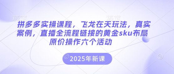 拼多多实操课程，飞龙在天玩法，真实案例，直播全流程链接的黄金sku布局原价操作六个活动 - 创享网-创享网
