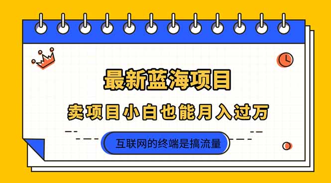 2025年最新蓝海项目，卖项目小白也能月入过万 - 创享网-创享网