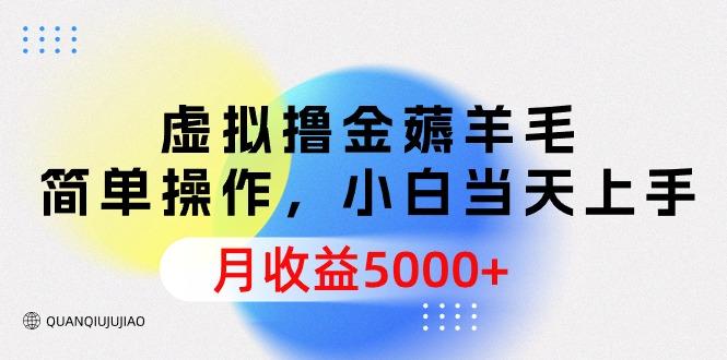 (9864期)虚拟撸金薅羊毛，简单操作，小白当天上手，月收益5000+ - 创享网-创享网