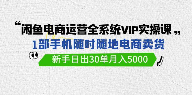 (9547期)闲鱼电商运营全系统VIP实战课，1部手机随时随地卖货，新手日出30单月入5000 - 创享网-创享网