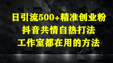 日引流500+精准创业粉，抖音共情自热打法，工作室都在用的方法 - 创享网-创享网