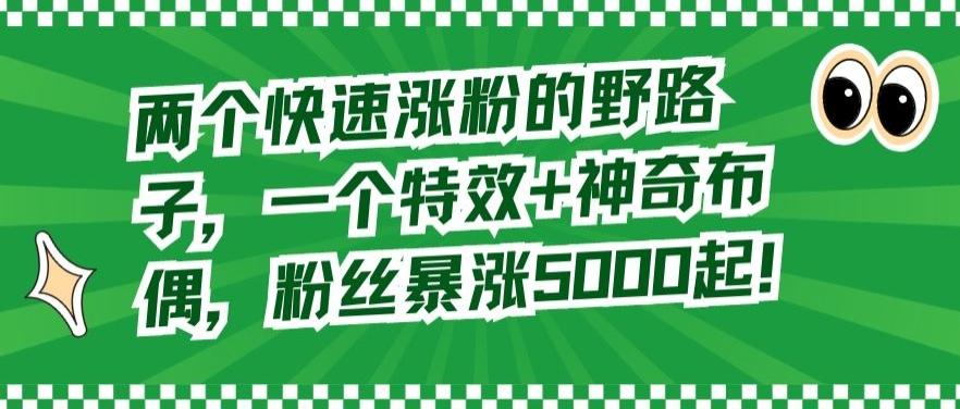 两个快速涨粉的野路子，一个特效+神奇布偶，粉丝暴涨5000起【揭秘】 - 创享网-创享网