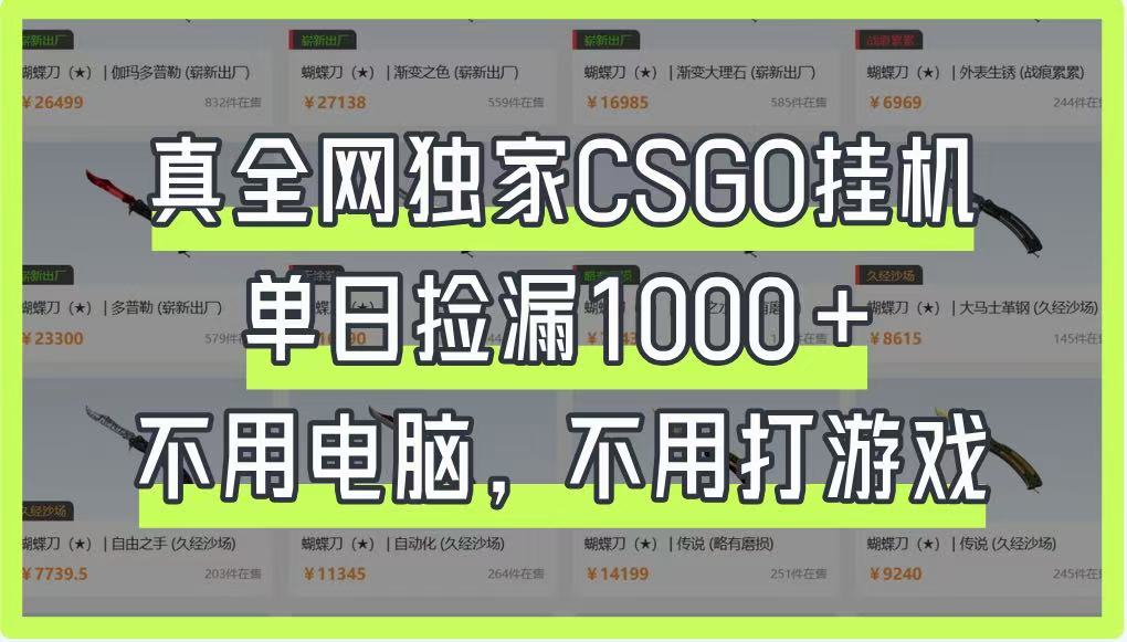 真全网独家CSGO挂机，单日捡漏1000+，不用电脑，不用养号 - 创享网-创享网