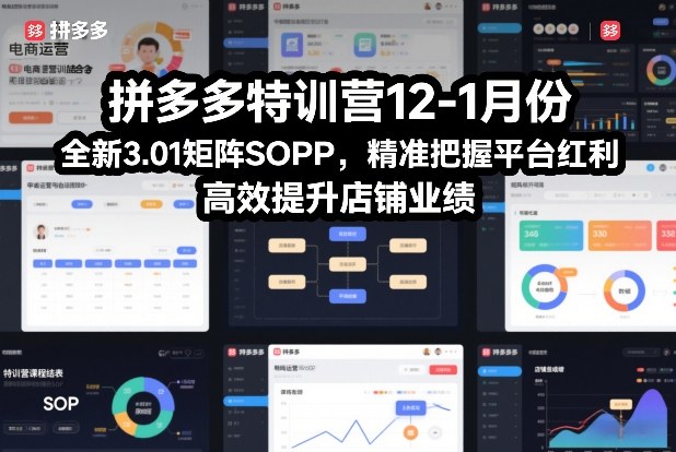 拼多多特训营12-1月份，全新3.01矩阵Sop，精准把握平台红利，高效提升店铺业绩-创享网