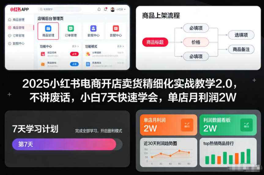 2025小红书电商开店卖货精细化实战教学2.0，不讲废话，小白7天快速学会，单店月利润2W-创享网