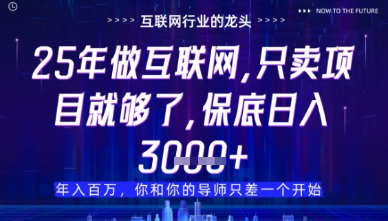 什么！25年你还在找项目做？风口早就变了，卖项目才是稳挣不赔【揭秘】 - 创享网-创享网