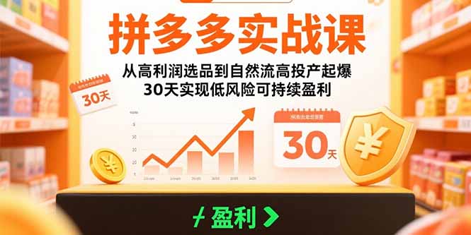 拼多多实战课：从高利润选品到自然流高投产起爆 30天实现低风险可持续盈利 - 创享网-创享网
