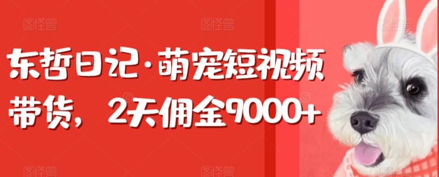 东哲日记·萌宠短视频带货，2天佣金9000+ - 创享网-创享网