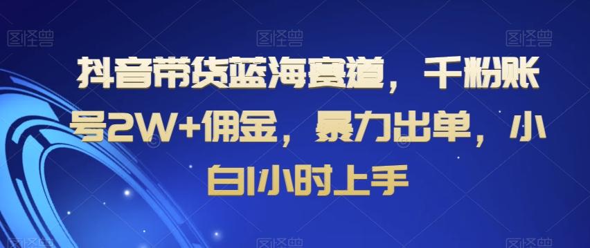 抖音带货蓝海赛道，千粉账号2W+佣金，暴力出单，小白1小时上手【揭秘】 - 创享网-创享网