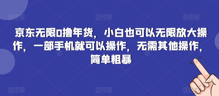 京东无限0撸年货，小白也可以无限放大操作，一部手机就可以操作，无需其他操作，简单粗暴 - 创享网-创享网