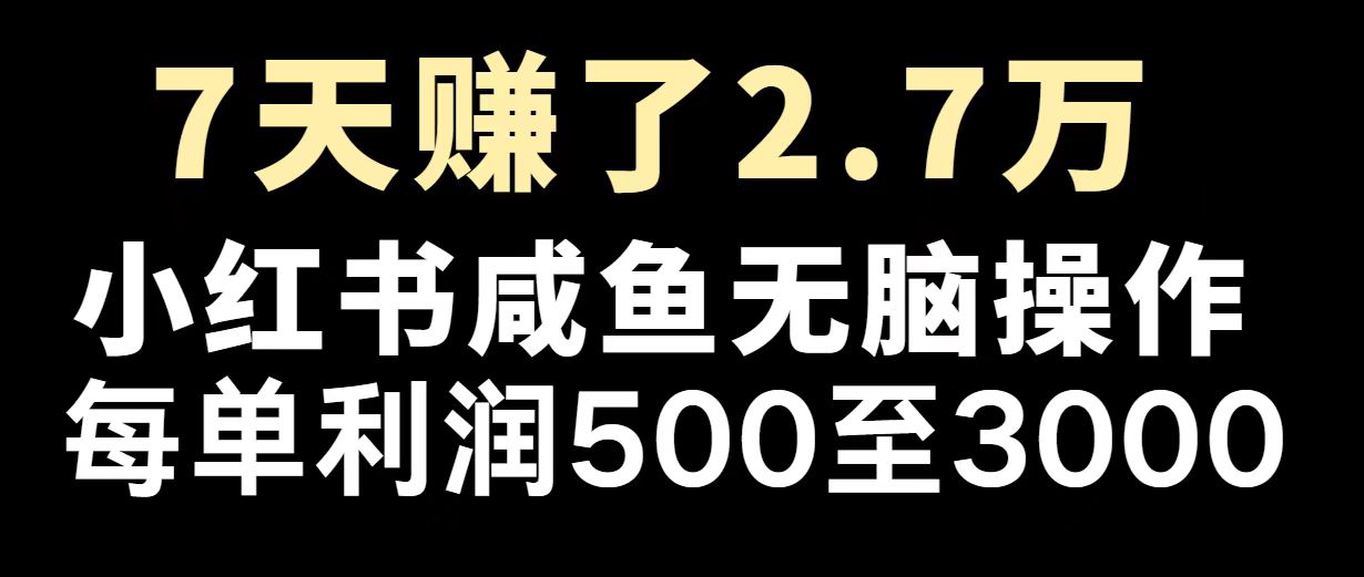 最赚钱项目之一，2025爆火，逆风翻盘！ - 创享网-创享网