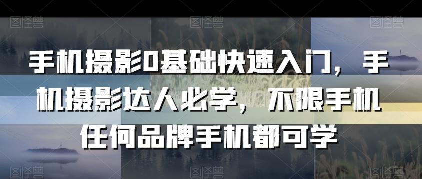 手机摄影0基础快速入门，手机摄影达人必学，不限手机任何品牌手机都可学 - 创享网-创享网
