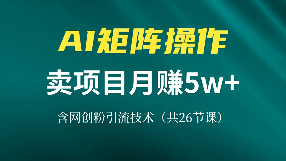 网创IP打造课，借助AI卖项目月赚5万+，含引流技术(共26节课 - 创享网-创享网
