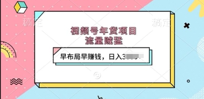 视频号年货项目，流量贼猛，早布局早挣钱，日入上k【揭秘】 - 创享网-创享网