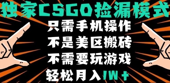 CSGO自动捡漏项目，最新独家玩法，不是美区搬砖，不需要了解和玩游戏，新手小白轻松月入1W+【揭秘】 - 创享网-创享网