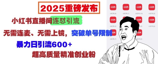 2025重磅发布：小红书直播间连怼引流，无需连麦、无需上镜，突破单号限制，暴力日引流600+ - 创享网-创享网