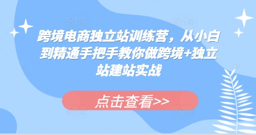 跨境电商独立站训练营，从小白到精通手把手教你做跨境+独立站建站实战 - 创享网-创享网