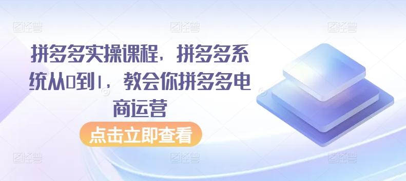拼多多实操课程，拼多多系统从0到1，教会你拼多多电商运营 - 创享网-创享网