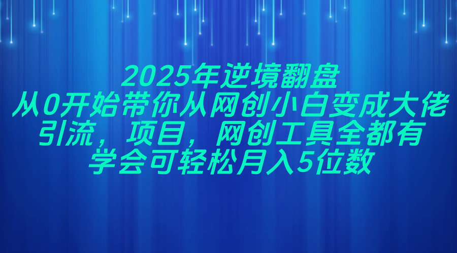 2025年逆境翻盘，从0开始带你从网创小白变成大佬，引流，项目，网创工... - 创享网-创享网