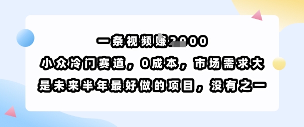 一条视频挣1k，小众冷门赛道，0成本，市场需求大，是未来半年最好做的项目，没有之一 - 创享网-创享网
