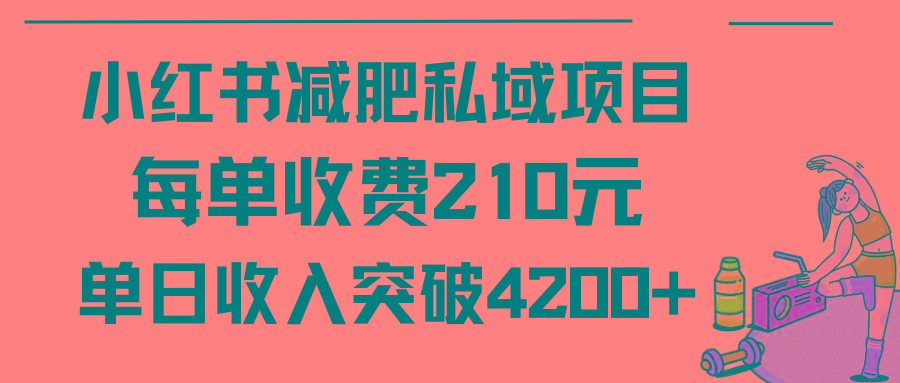 (9466期)小红书减肥私域项目每单收费210元单日成交20单，最高日入4200+ - 创享网-创享网