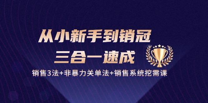 从小新手到销冠 三合一速成：销售3法+非暴力关单法+销售系统挖需课 (27节 - 创享网-创享网