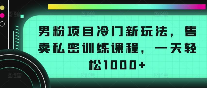 男粉项目冷门新玩法，售卖私密训练课程，一天轻松1000+【揭秘】 - 创享网-创享网