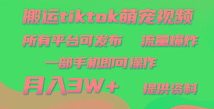 (9618期)搬运Tiktok萌宠类视频，一部手机即可。所有短视频平台均可操作，月入3W+ - 创享网-创享网