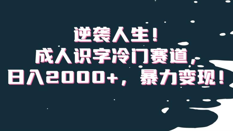 逆袭人生！成人识字冷门赛道，日入2000+，暴力变现！【揭秘】 - 创享网-创享网