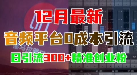 12月最新：音频平台0成本引流，日引流300+精准创业粉 - 创享网-创享网