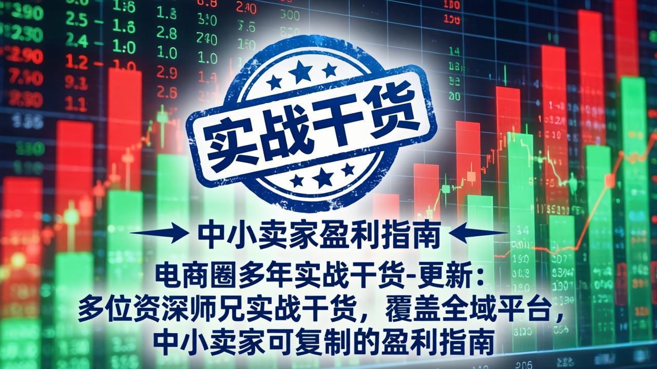 电商圈多年实战干货-更新5月20：多位资深师兄实战干货/覆盖全域平台，中小卖家可复制的盈利指南 - 创享网-创享网