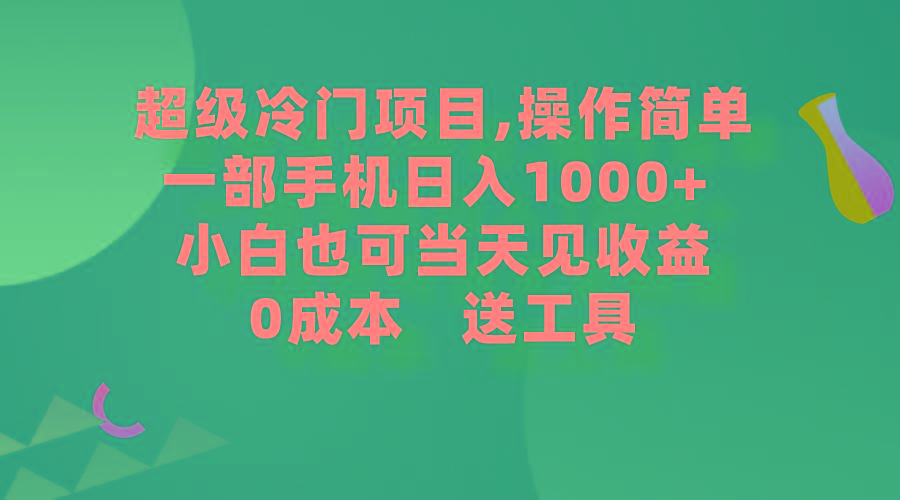 (9291期)超级冷门项目,操作简单，一部手机轻松日入1000+，小白也可当天看见收益 - 创享网-创享网
