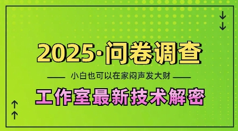 2025问卷调查最新工作室技术解密：一个人在家也可以闷声发大财，小白一天2张，可矩阵放大【揭秘】 - 创享网-创享网