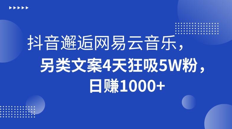抖音邂逅网易云音乐，另类文案4天狂吸5W粉，日赚1000+【揭秘】 - 创享网-创享网