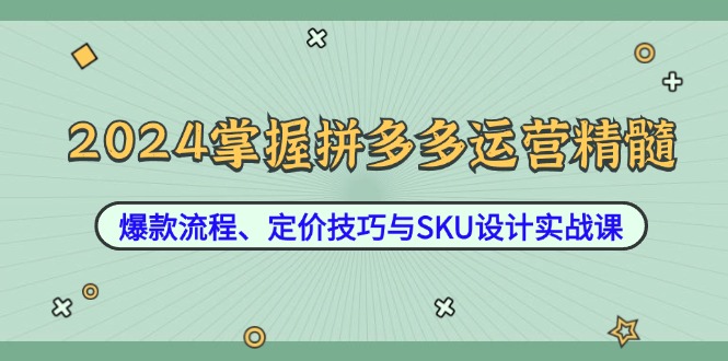 2024掌握拼多多运营精髓：爆款流程、定价技巧与SKU设计实战课 - 创享网-创享网