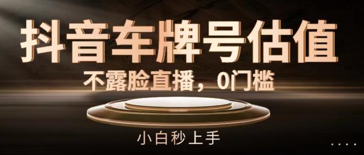 抖音车牌号估值，不露脸直播，0门槛，小白秒上手【揭秘】 - 创享网-创享网