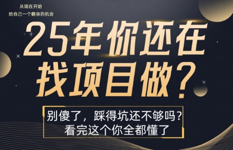 25年，你还在疯狂的找项目吗？别傻了，看完这个你都懂了【揭秘】 - 创享网-创享网
