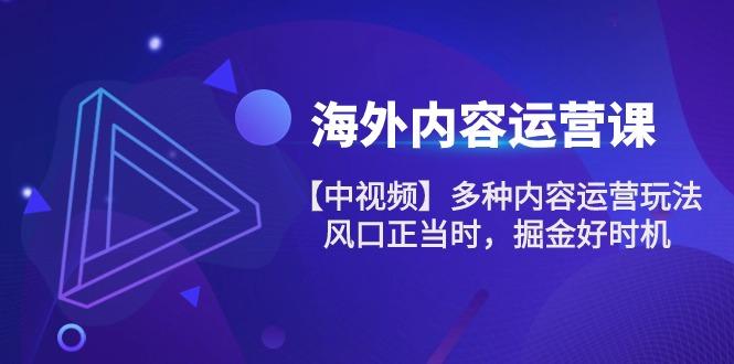 海外内容 运营课【中视频】多种内容运营玩法 风口正当时 掘金好时机-101节 - 创享网-创享网