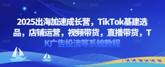 2025出海加速成长营，TikTok基建选品，店铺运营，视频带货，直播带货，TK广告投流等系统教程 - 创享网-创享网